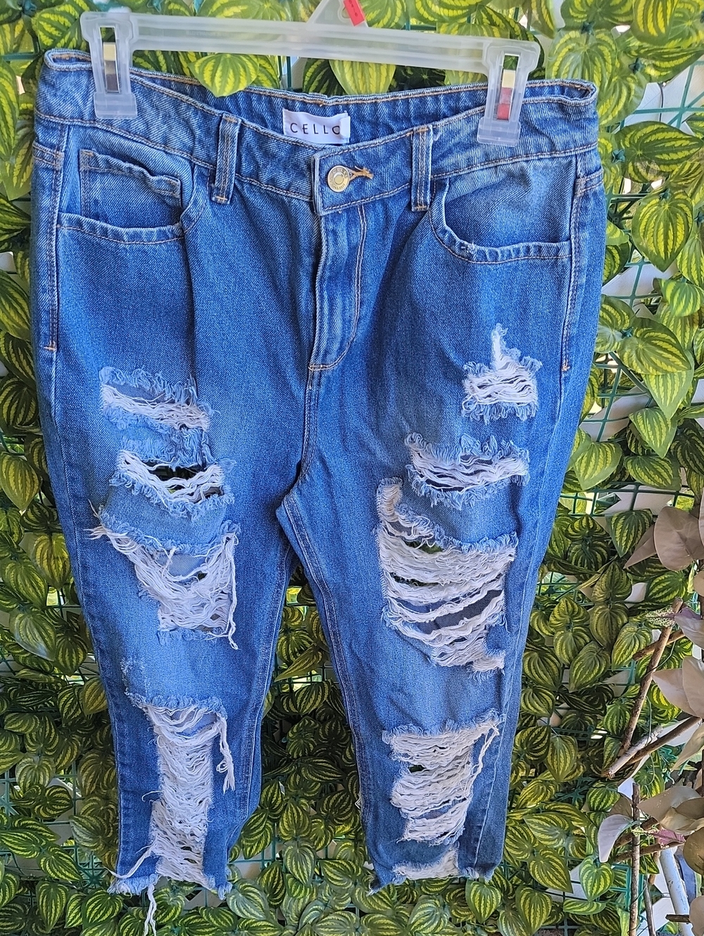 Cello Ripped Light Blue Boyfriend Jeans
